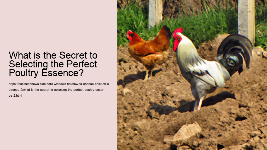 What is the Secret to Selecting the Perfect Poultry Essence?