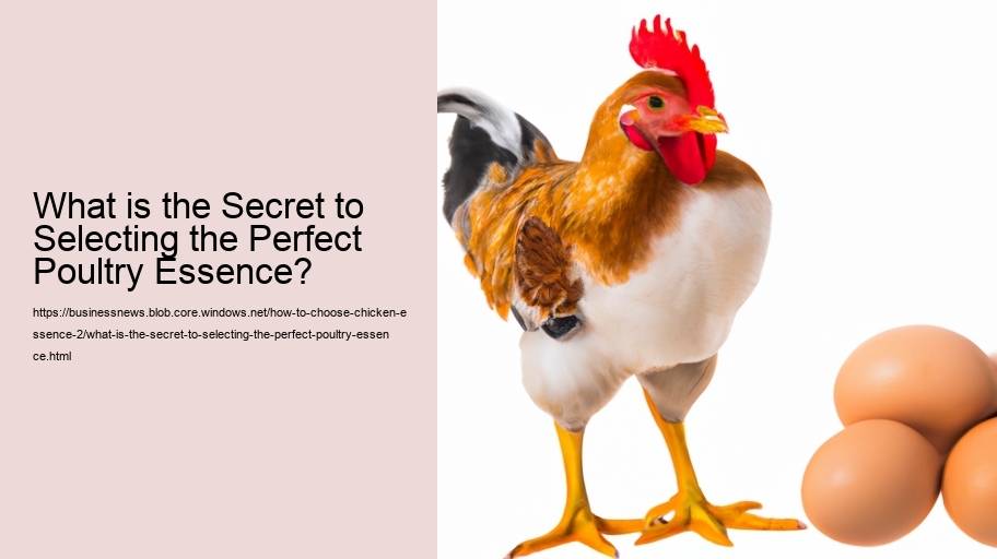 What is the Secret to Selecting the Perfect Poultry Essence?