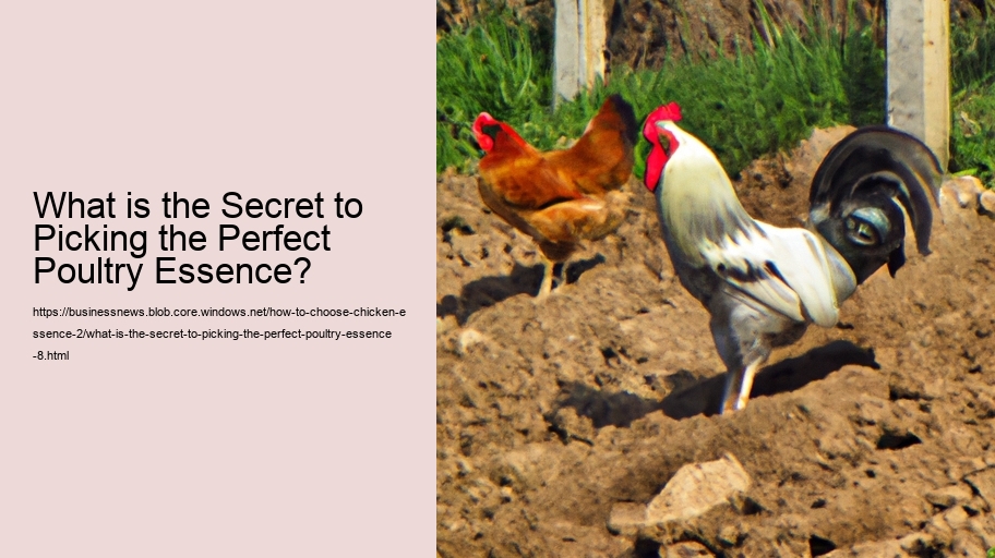 What is the Secret to Picking the Perfect Poultry Essence?