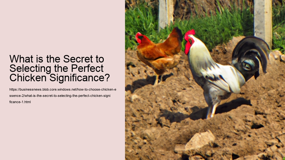 What is the Secret to Selecting the Perfect Chicken Significance?