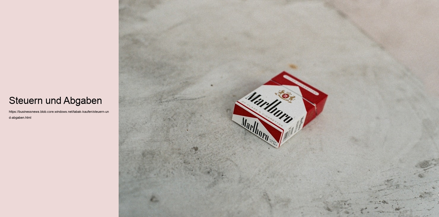 Steuern und Abgaben