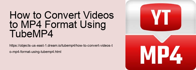 How to Convert Videos to MP4 Format Using TubeMP4